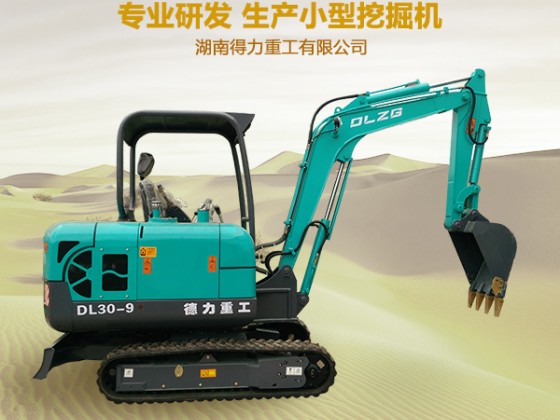 DL30-9小型挖掘机