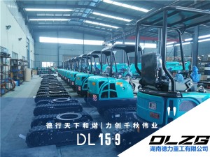 DL 15-9 超小型挖掘机